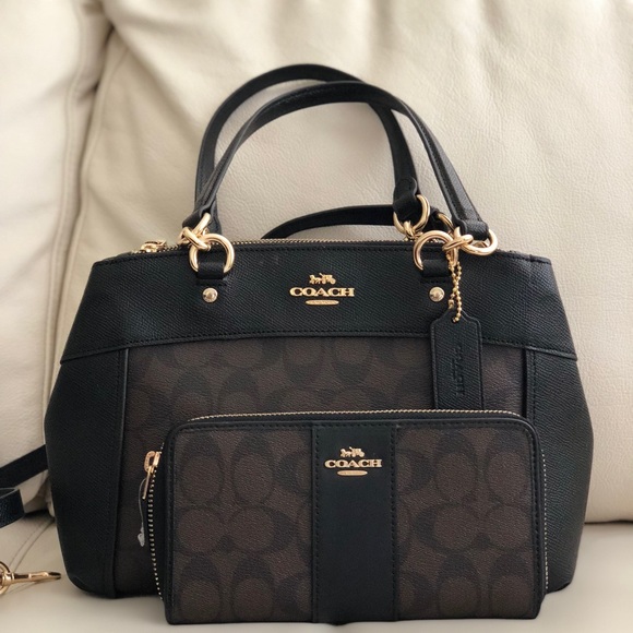 mini brooke carryall coach